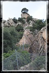 -arbre-roc.jpg
