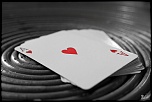 -img_8730-1.jpg