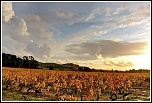 Devellopement-img_4965_6_7_b.jpg