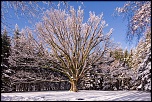-web-3-chene.jpg