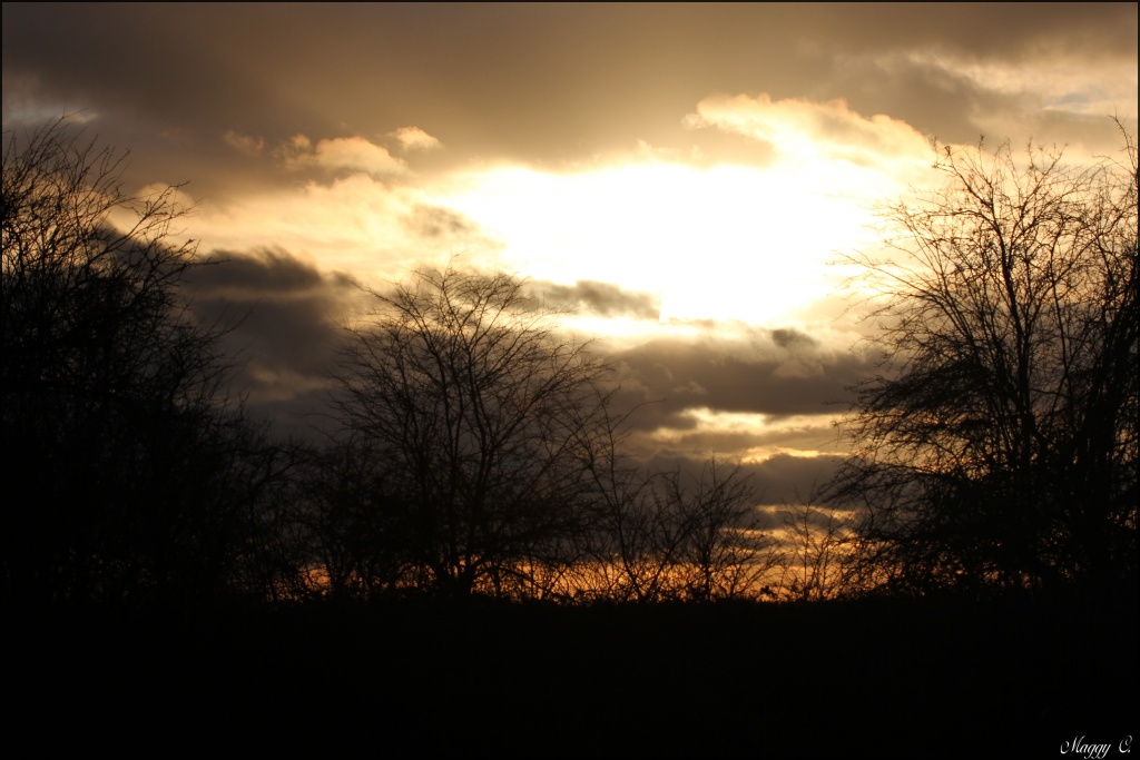 -la-terre-et-le-ciel_0648.jpg