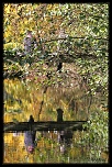 -la-nature_0244.jpg