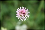 -img_0772.jpg