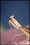 -img_2368.jpg