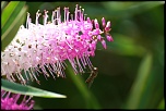 -img_0976.jpg