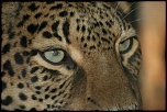 -img_0675.jpg