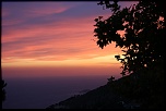 -img_0228.jpg