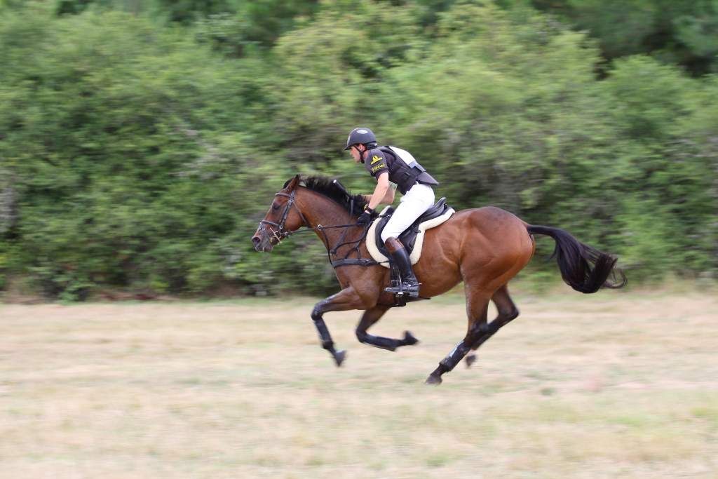 Galop