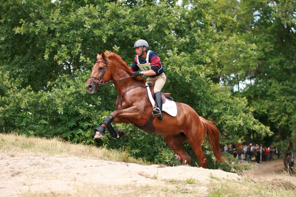 Sandillon Grand national
