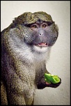 -img_4236.jpg