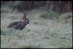 -img_2753a.jpg