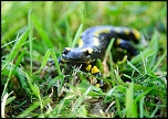 Objectif-img_2485c.jpg