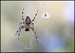 Objectif-img_2201a.jpg