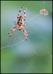 Objectif-img_2198b.jpg