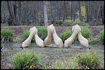 18-70mm-img_3640.jpg
