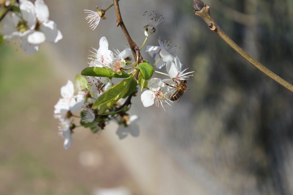 18-70mm-photo-102.jpg
