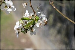 18-70mm-photo-102.jpg