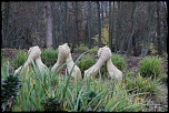18-70mm-img_3651.jpg