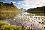 Lac du Roy