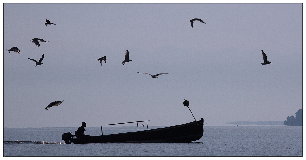 Petit matin sur le Lman
aot 2009