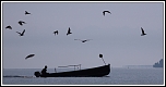 Petit matin sur le Lman 
aot 2009
