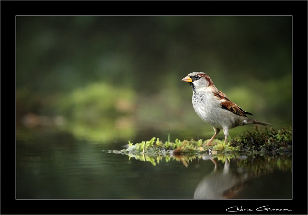 -img_3782-2c.jpg