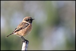 18-70mm-img_1034eos.jpg