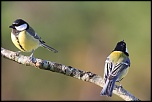 18-70mm-img_1055eos.jpg