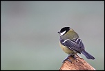18-70mm-img_0349eos.jpg
