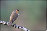18-70mm-img_0581eos.jpg