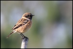 18-70mm-img_1035eos.jpg
