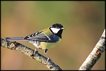 18-70mm-img_0958eos.jpg