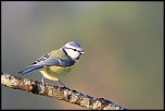 18-70mm-img_1255eos.jpg