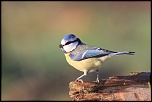 18-70mm-img_1283eos.jpg