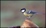 18-70mm-img_0559eos.jpg