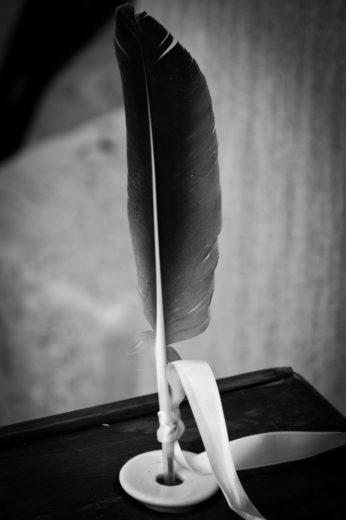 Metz 44 AF - 4C et 300 D-2011-39.jpg