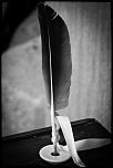 Metz 44 AF - 4C et 300 D-2011-39.jpg