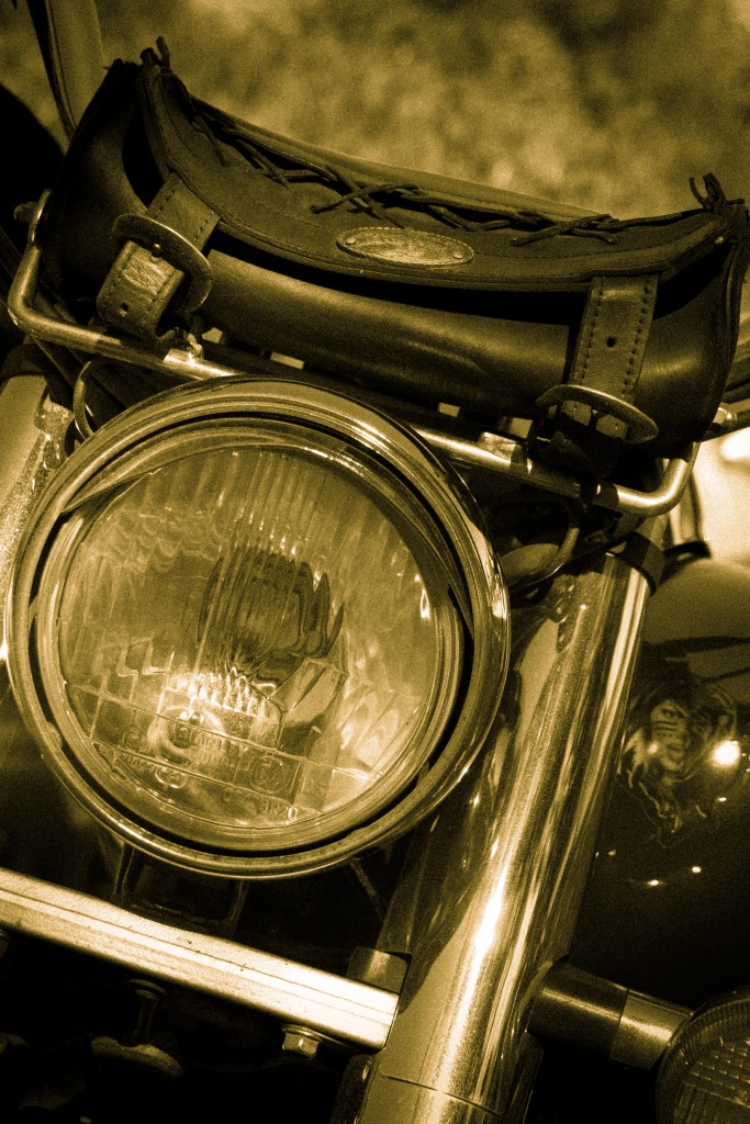 Metz 44 AF - 4C et 300 D-2011-18.jpg