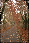 Fort Robertsau automne 2011