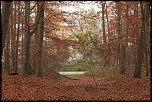 IMG 0554