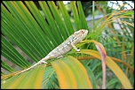 -l-endormi-concour-canon.jpg