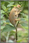 -l-endormi70-5-.jpg