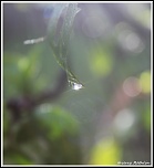 -goutte-d-eau-1.jpg
