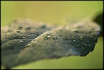 Naissance-img_4939.jpg