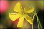 Naissance-img_4914.jpg