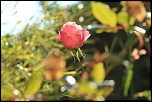 Naissance-img_4927.jpg