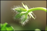 Naissance-img_4919.jpg