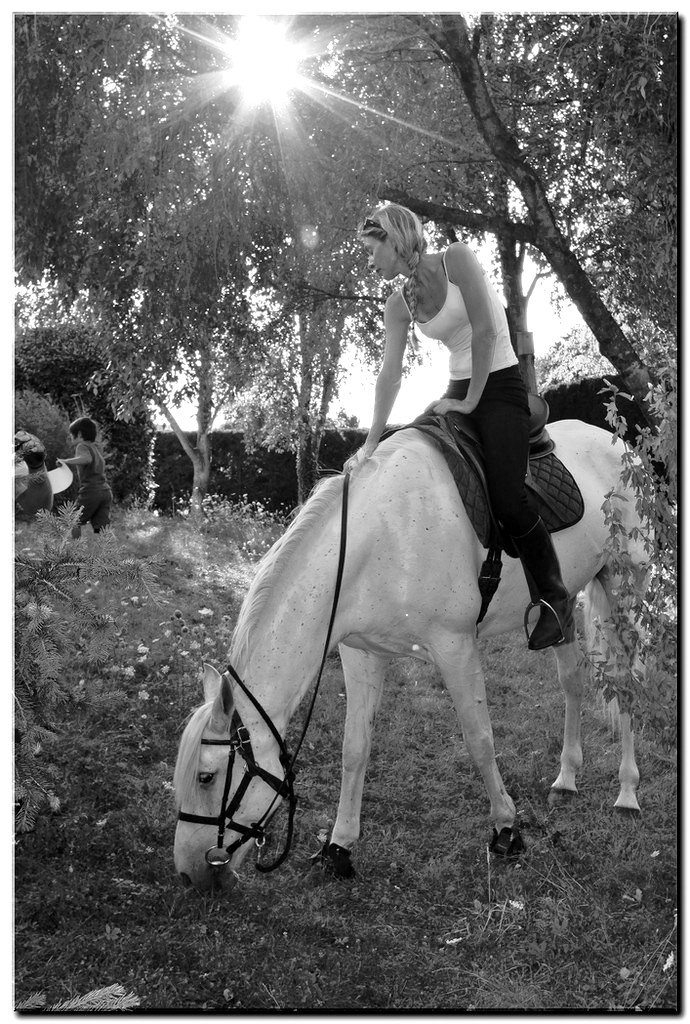 K&C B&W