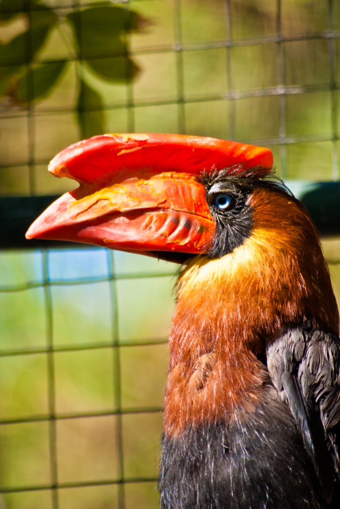 18-70mm-dsc_1990.jpg