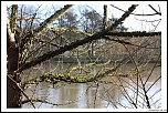 IMG 6331